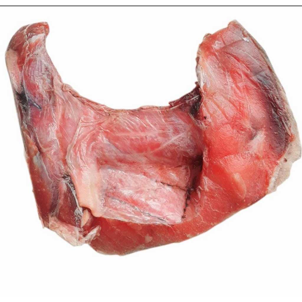 

Rahang Tuna Fresh Export Super IQF Vacum