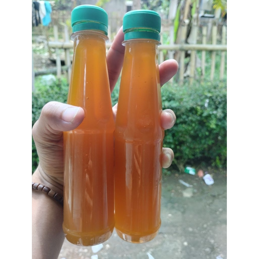 

Madu Odeng madu hutan asli 100% tanpa campuran