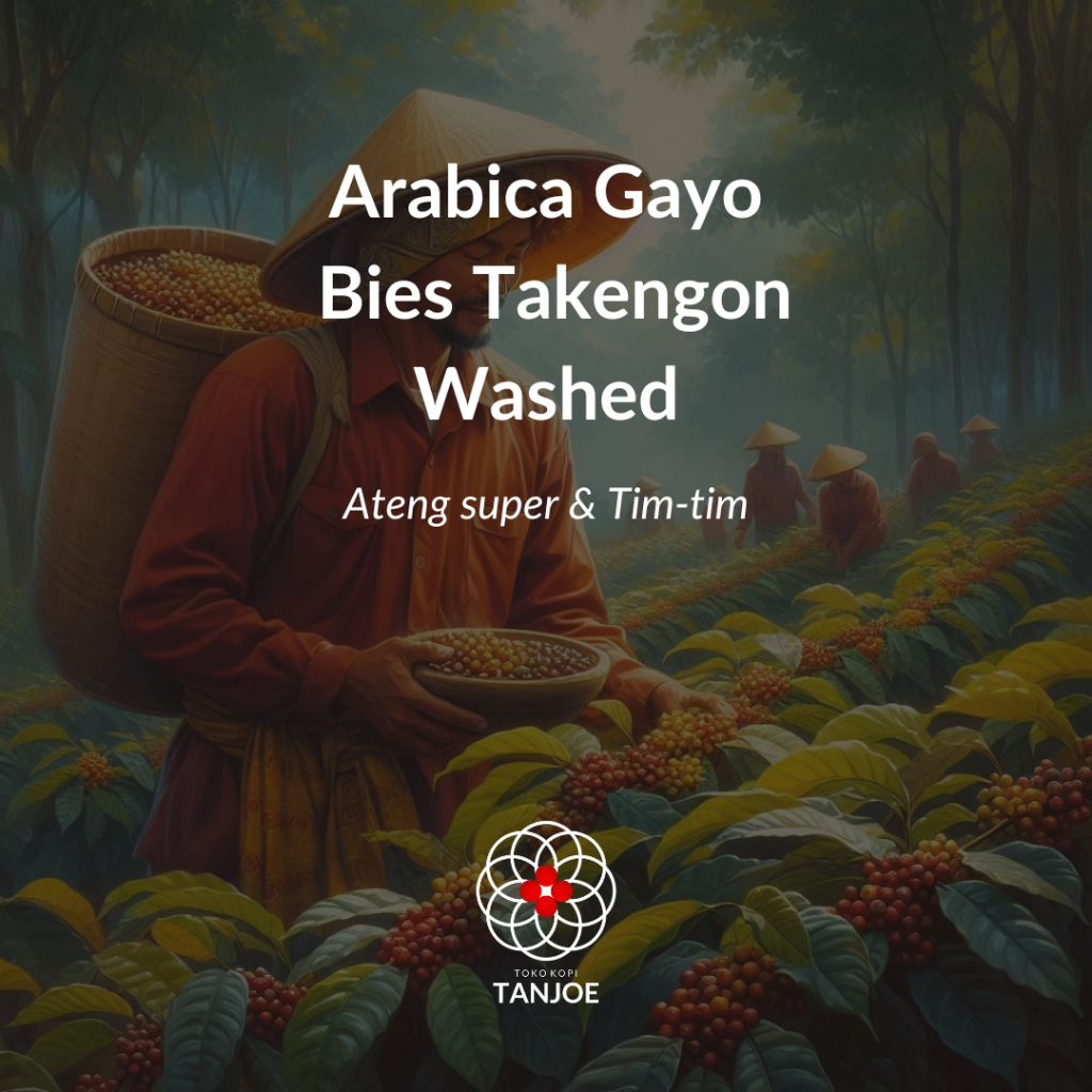 

Green Beans Gayo Washed Process Coffee Specialty 1kg