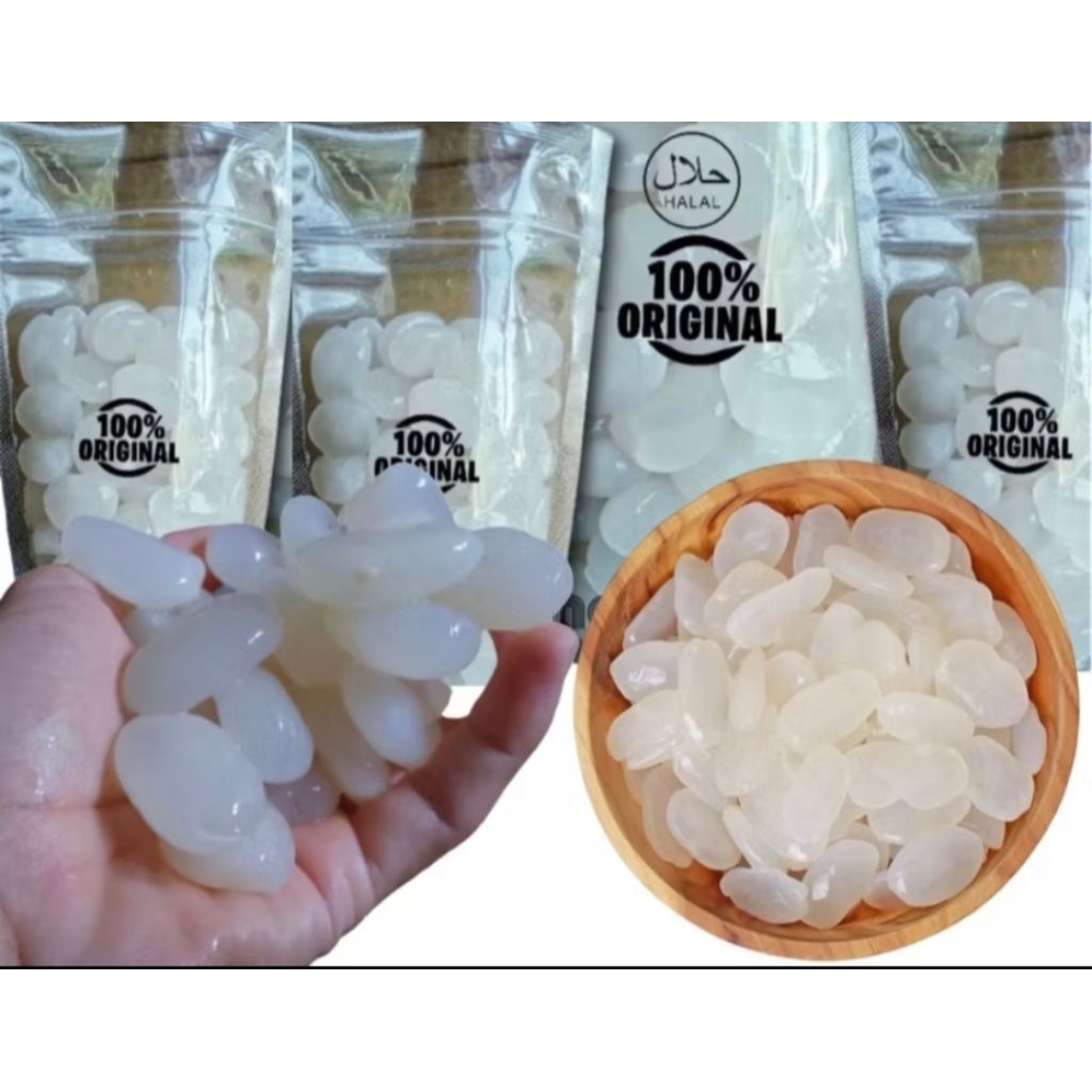 

Kolang kaling super 1 kg Kolang kaling segar putih dan bersih bahan untuk membuat manisan