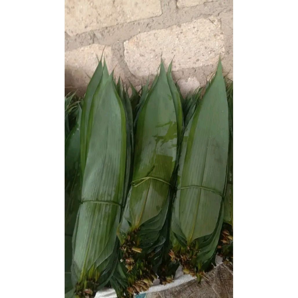 

daun bambu bungkus bakcang perlembar