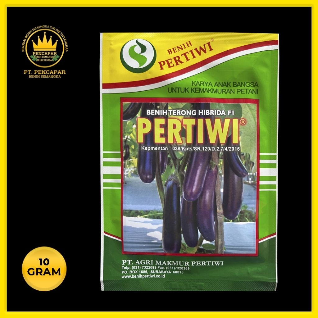 benih TERONG UNGU PERTIWI 10gram