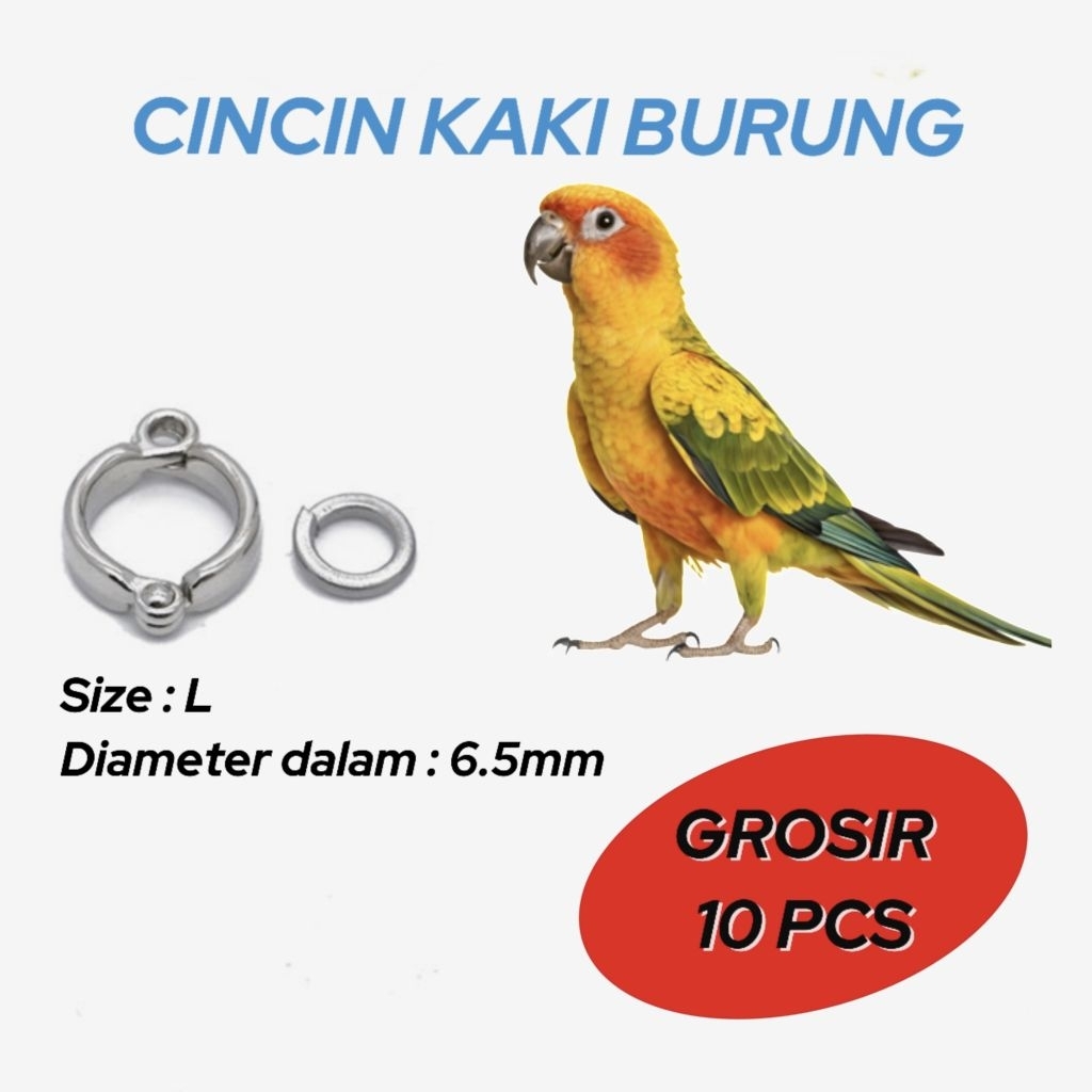 10 PCS Ring borgol kaki burung SC,IRN & Betet sumatera.