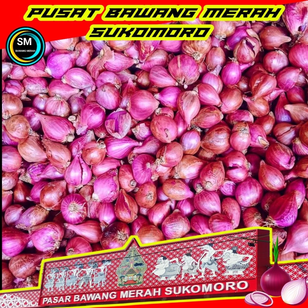 

Bawang merah termurah 250 gram