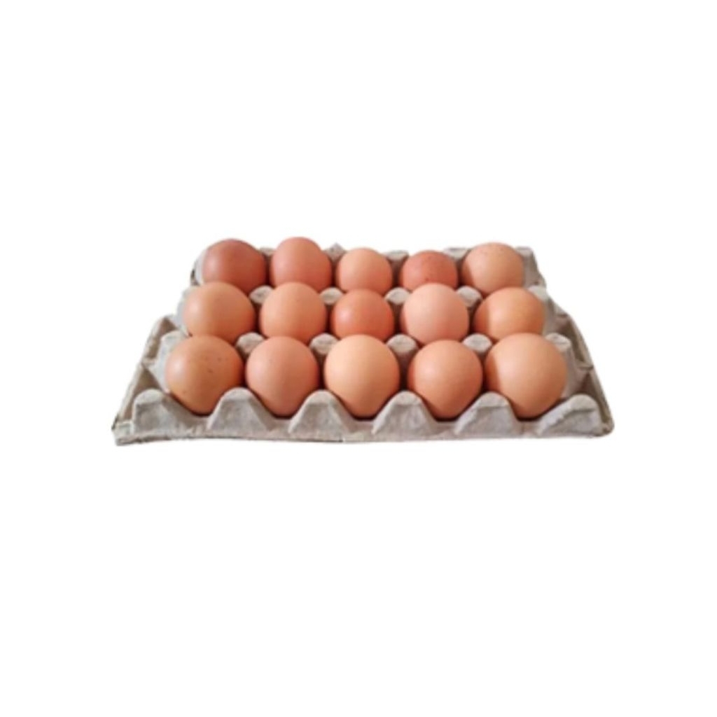 

telur ayam