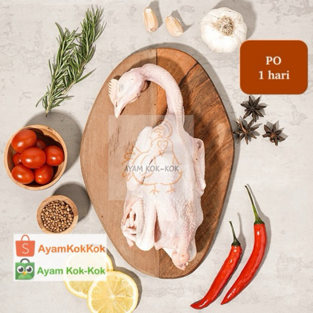 

Ayam Pejantan 600 gram (6 ons) ukuran hidup - FRESH