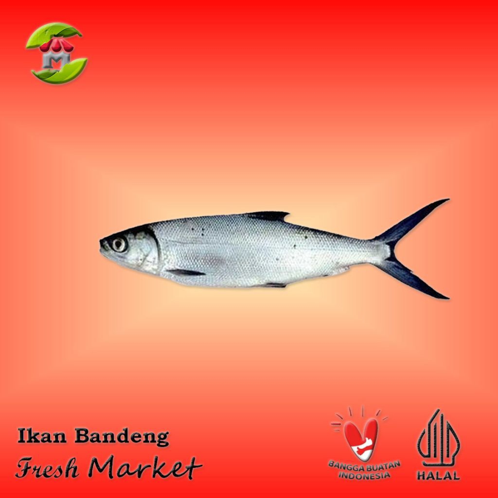 

[JAKTIM] Ikan Bandeng Pack 900gr - 1kg