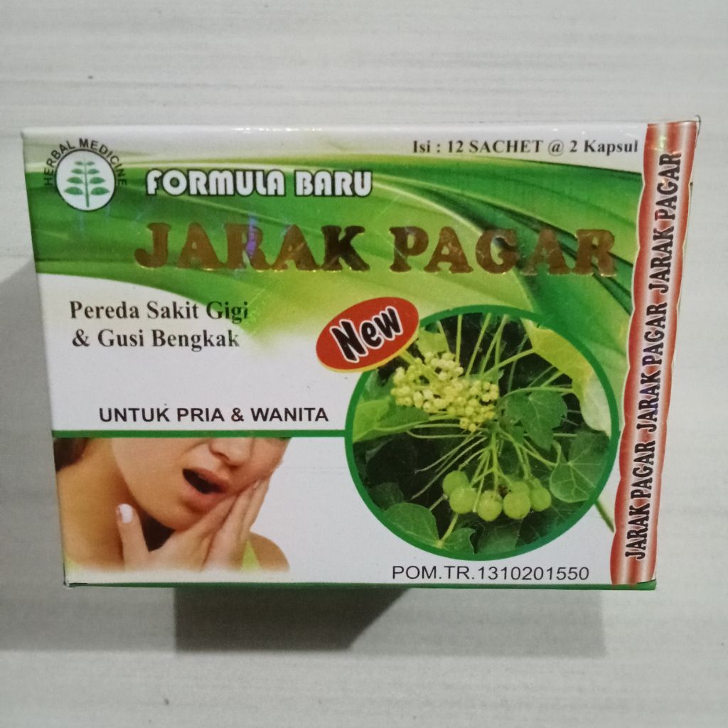 jarak pagar original kapsul obat sakit gigi