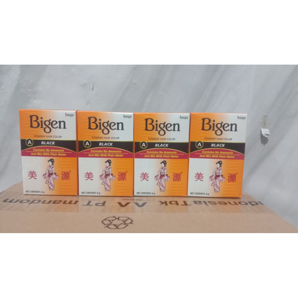 BIGEN SEMIR BUBUK/BIGEN POWDER HAIR COLOR