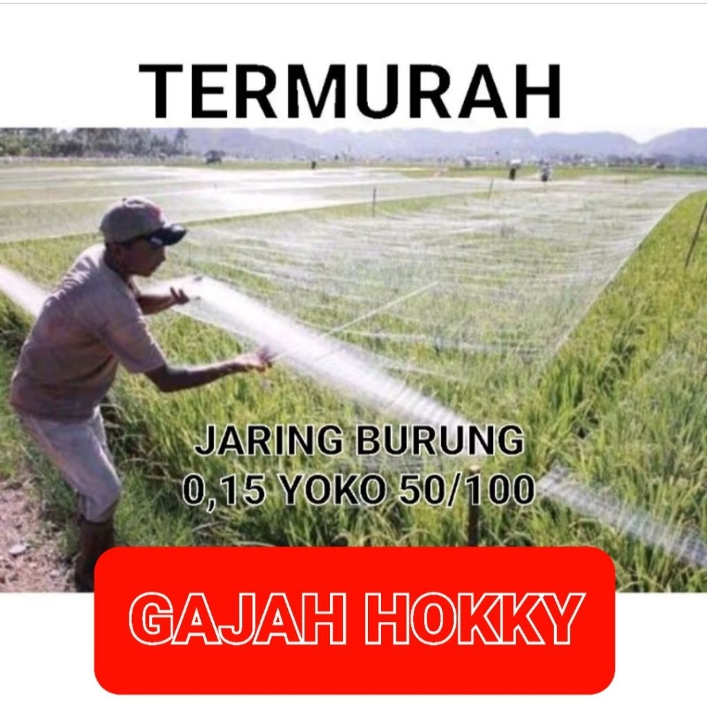 Jaring Burung Jaring Sawah Pengaman Padi 0.15 50/100 Yoko