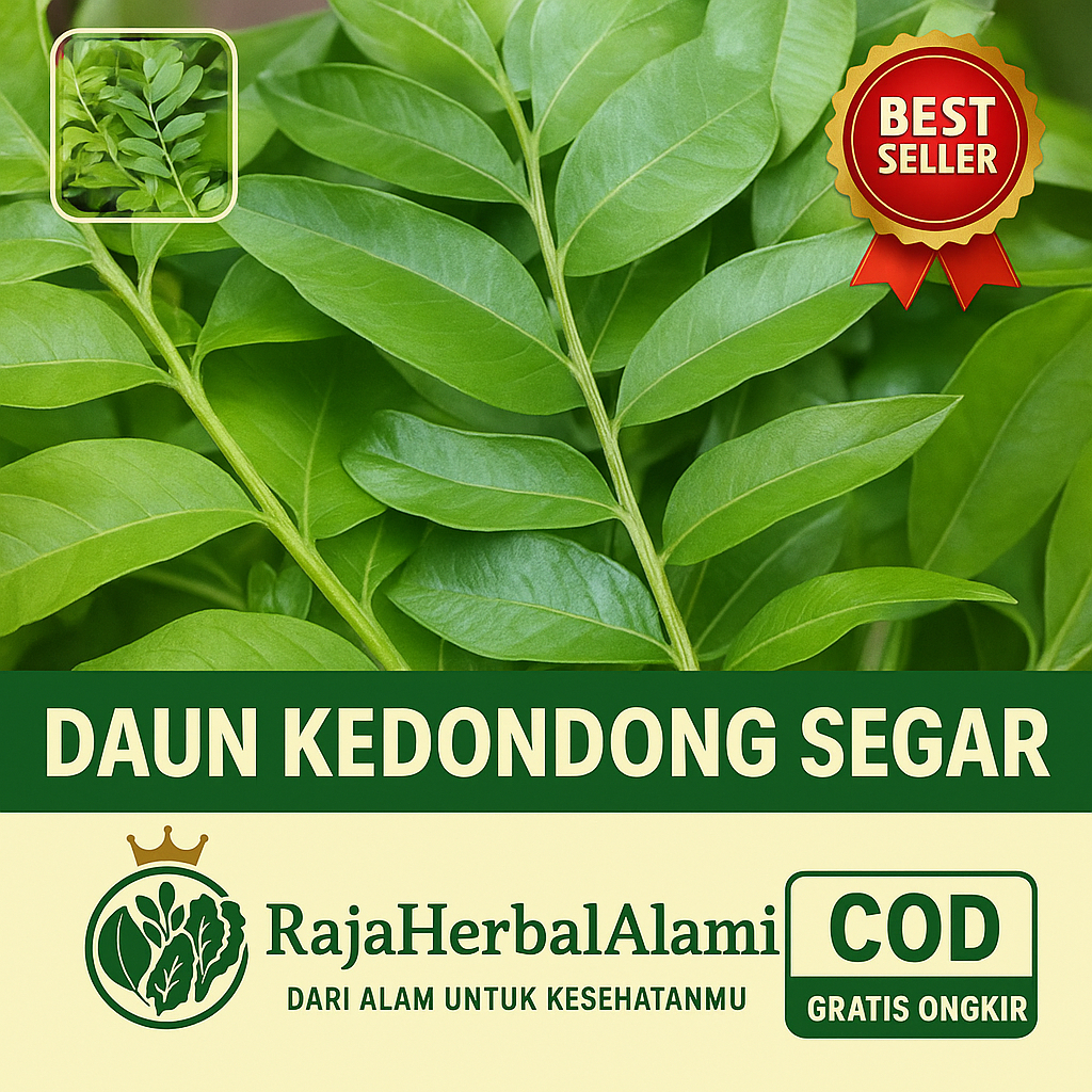 

Daun Kedondong Segar Per 1 Helai – Herbal Tradisional Obat Alami l COD & GRATIS ONGKIR