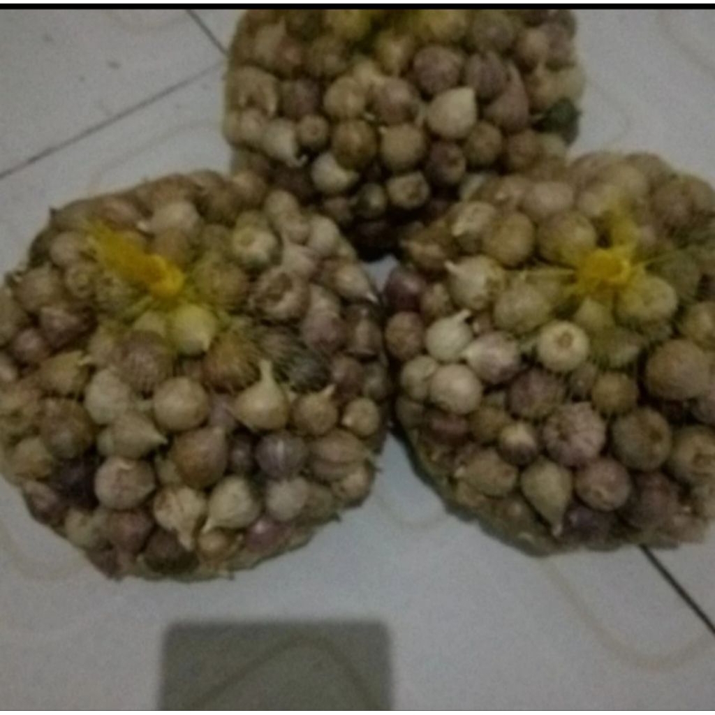 

Bawang putih tunggal kecil kemasan1kg