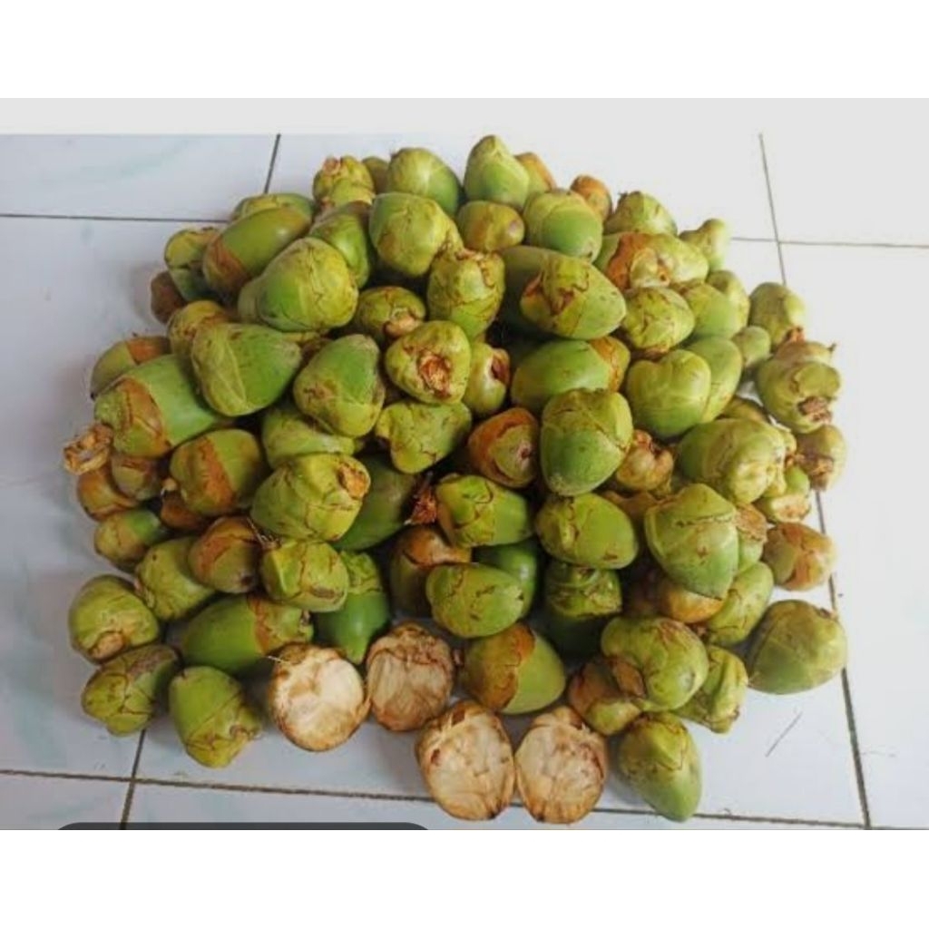 

tembuluk kelapa segar untuk mengurangi kadar gula