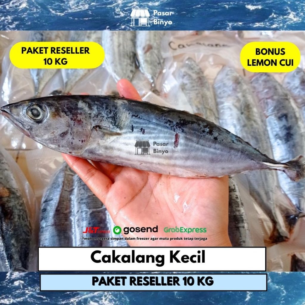 

Paket Reseller Ikan Cakalang Kecil