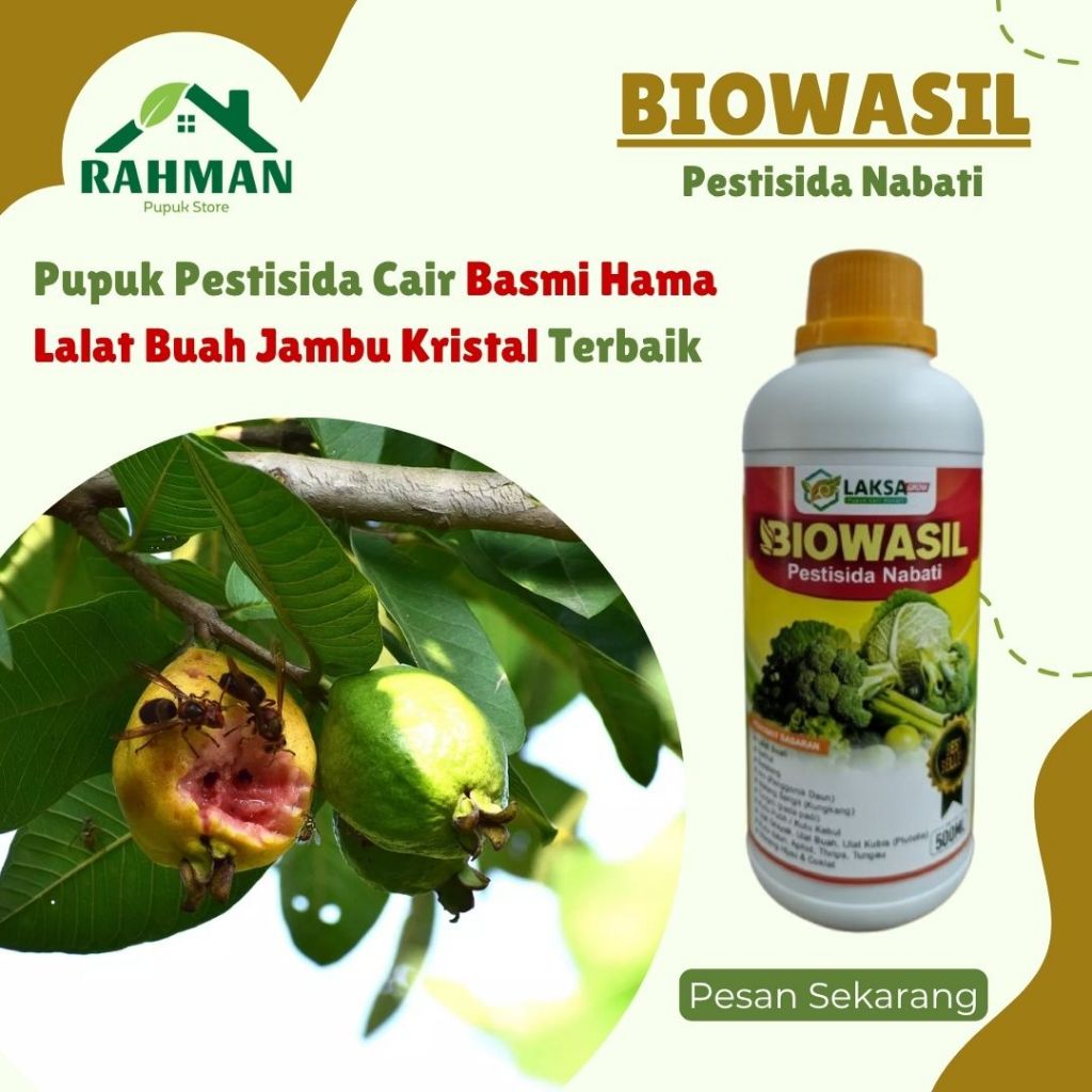Obat Lalat Buah Jambu Kristal Ampuh | Pupuk & Pestisida Organik Anti Hama Buah - BIOWASIL 500ML