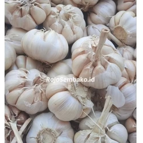 

Bawang Putih Bersih Fresh Garlic