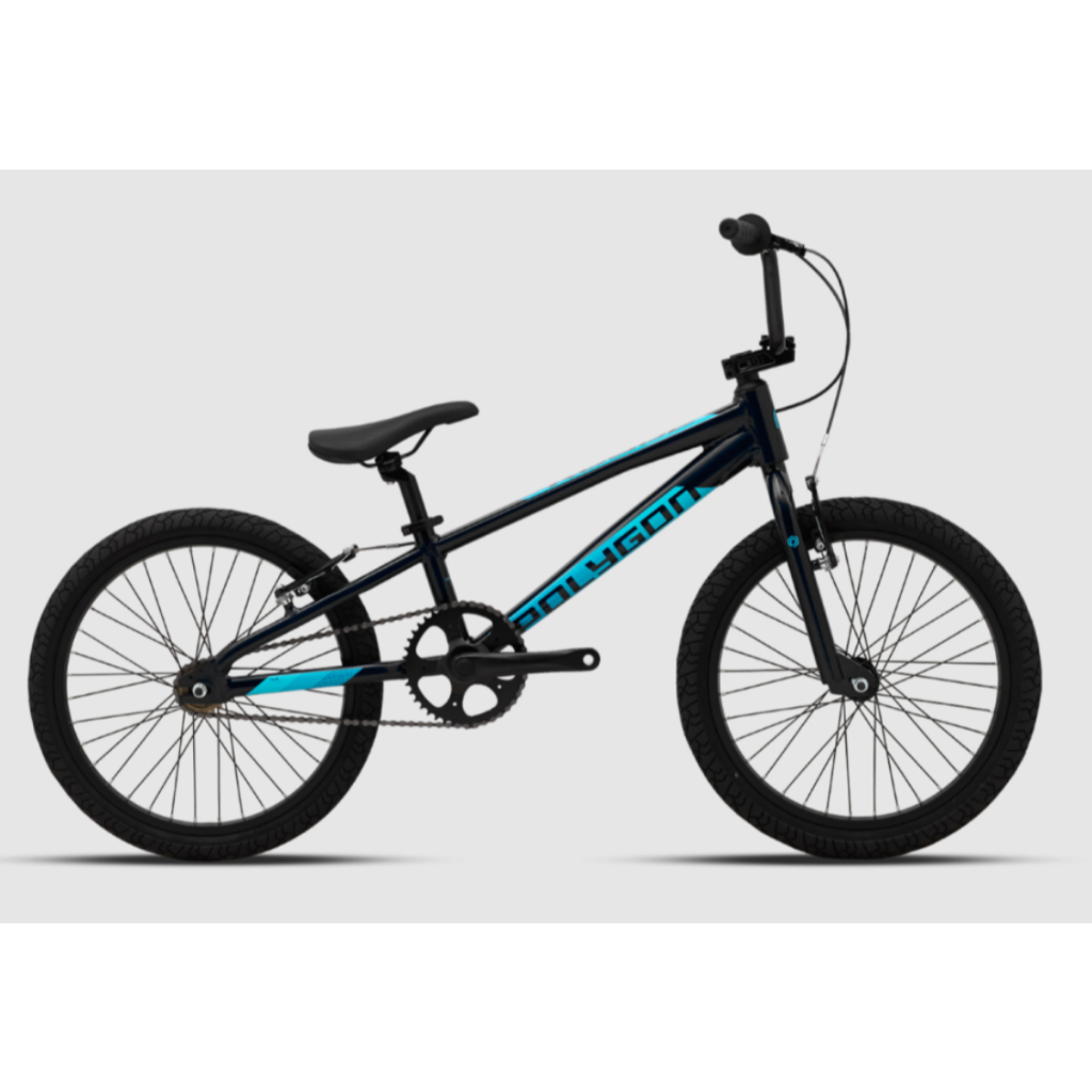 POLYGON BIKE BMX 20 ROGUE BLUE