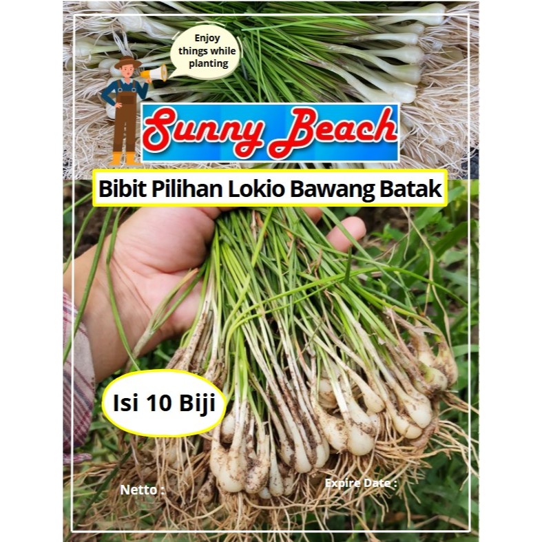 Bibit Pilihan Lokio Bawang Batak | Biji Benih Lokio Bawang Batak | Bawang