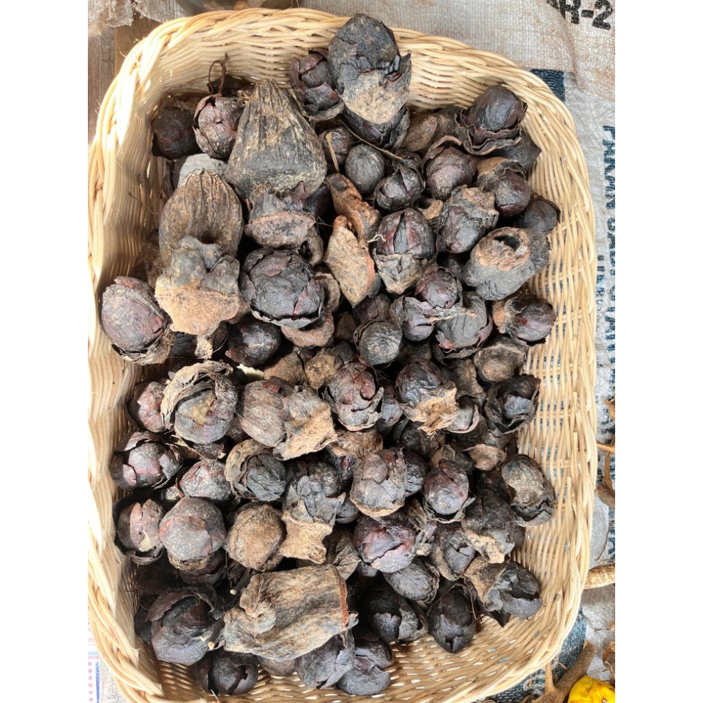 obat ambeien ulur-ulur obat ampuh ambeien