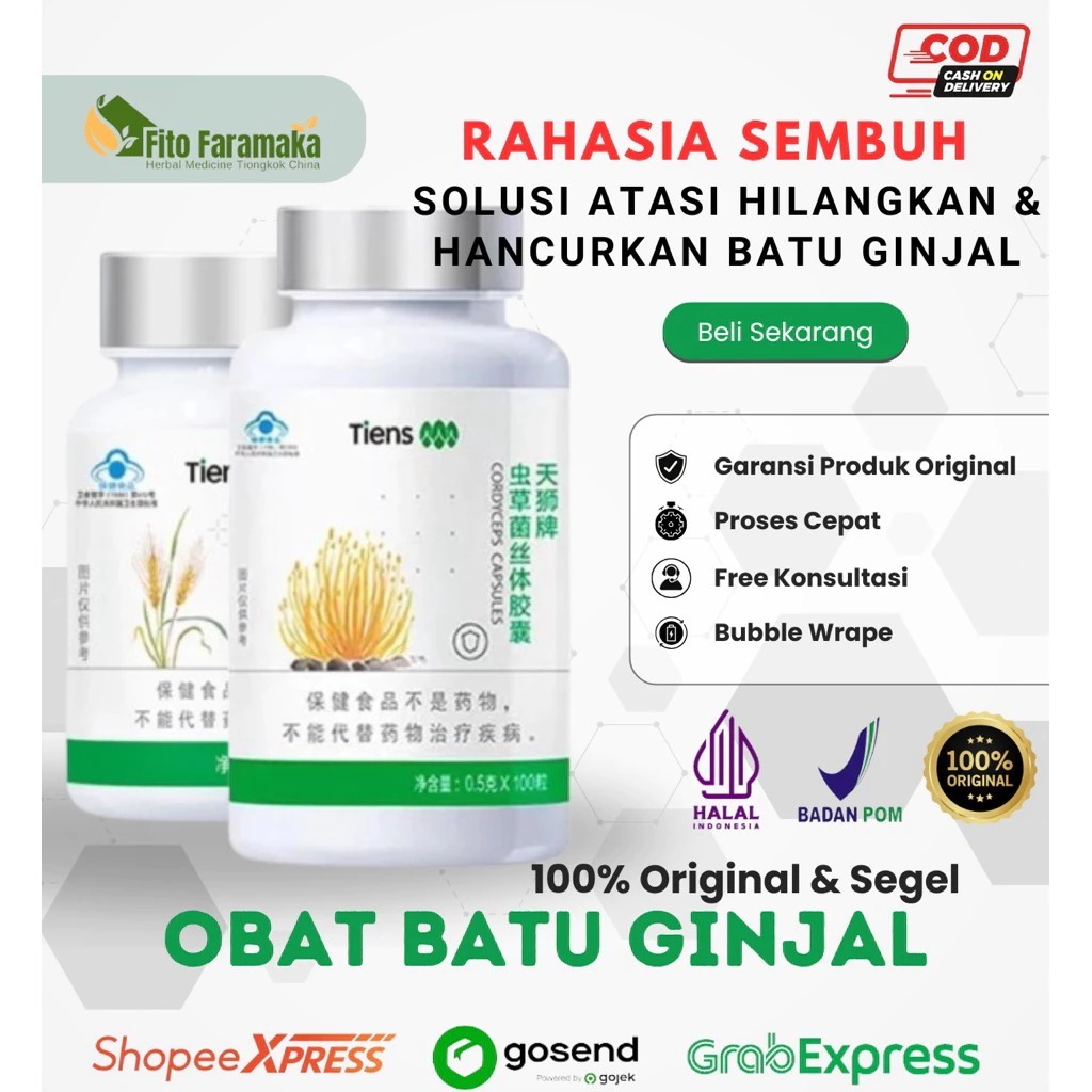 Obat Batu Ginjal Herbal TCM China Membantu Memperbaiki Fungsi Ginjal Segel Original