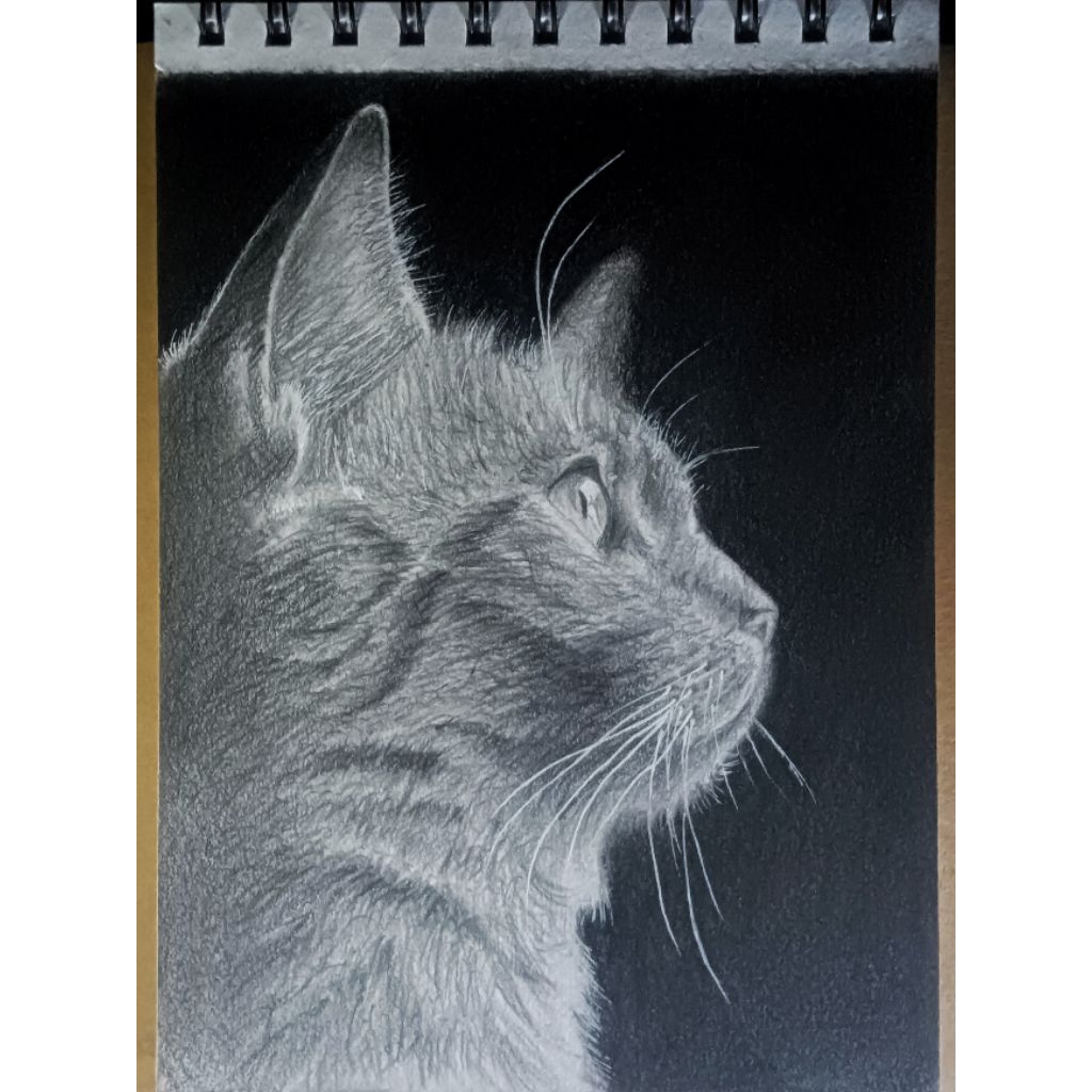 

SKETSA REALISTIK KITTEN - A5