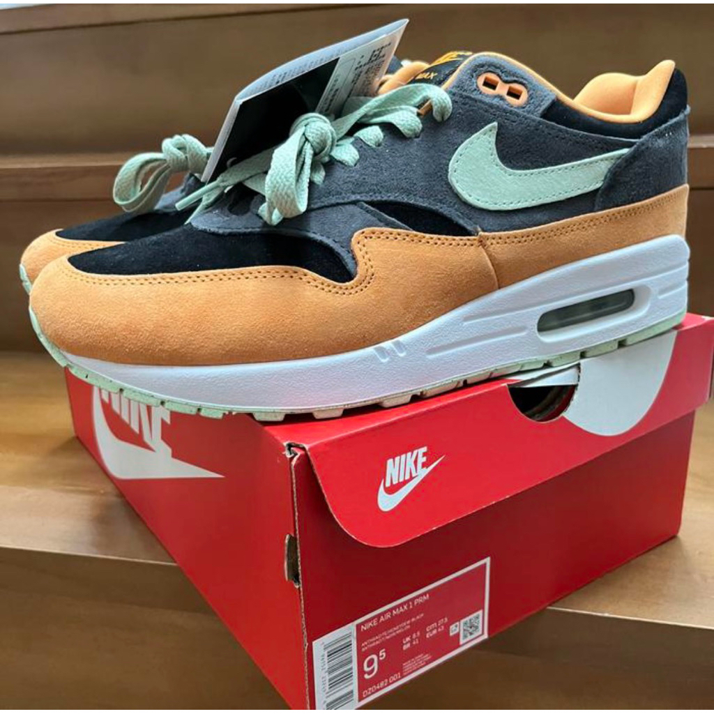 Nike Air Max 1 Ugly Duckling BNIB Ori