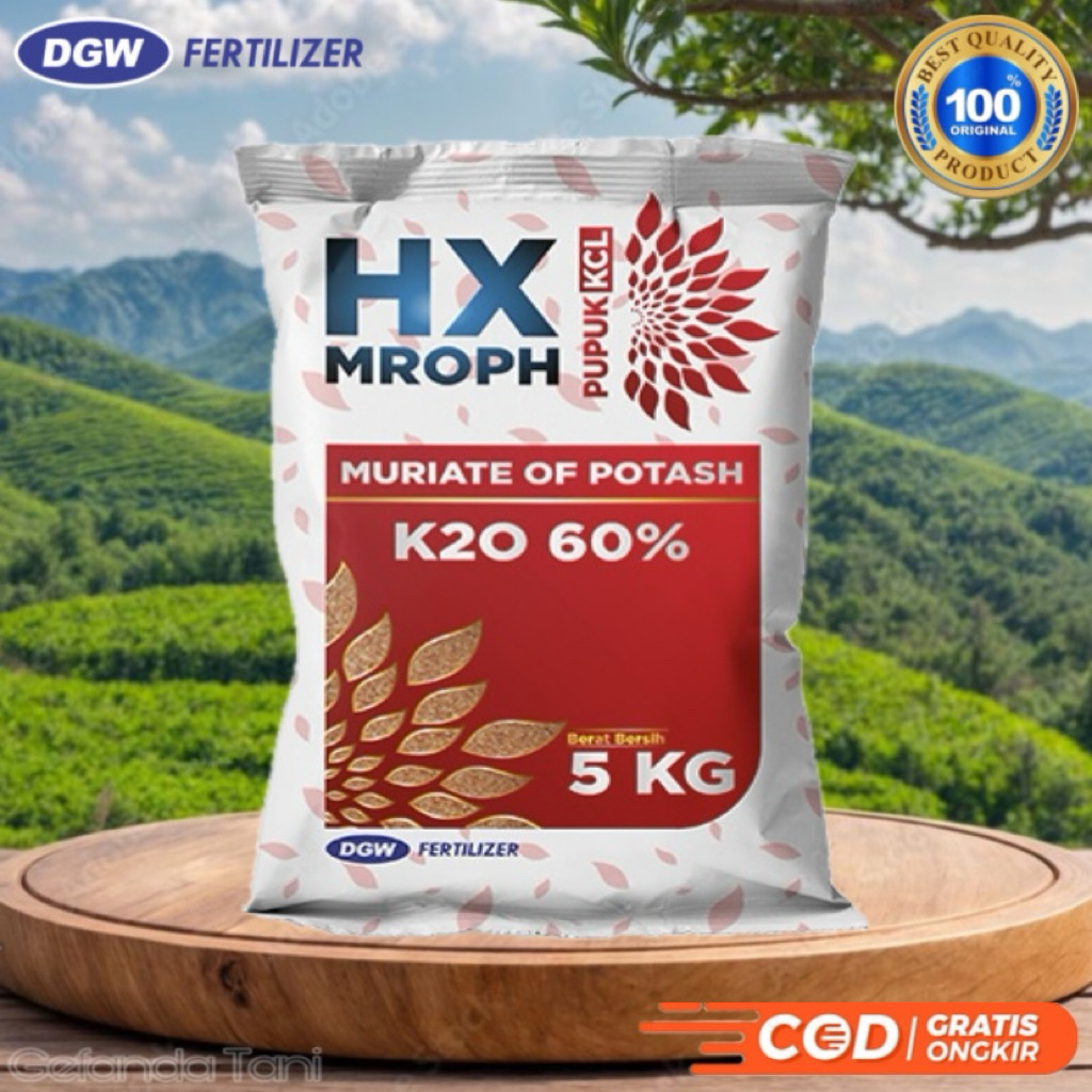Pupuk KCL HX DGW Mroph 5KG K2O Kalium 60% - HX Mroph DGW Original