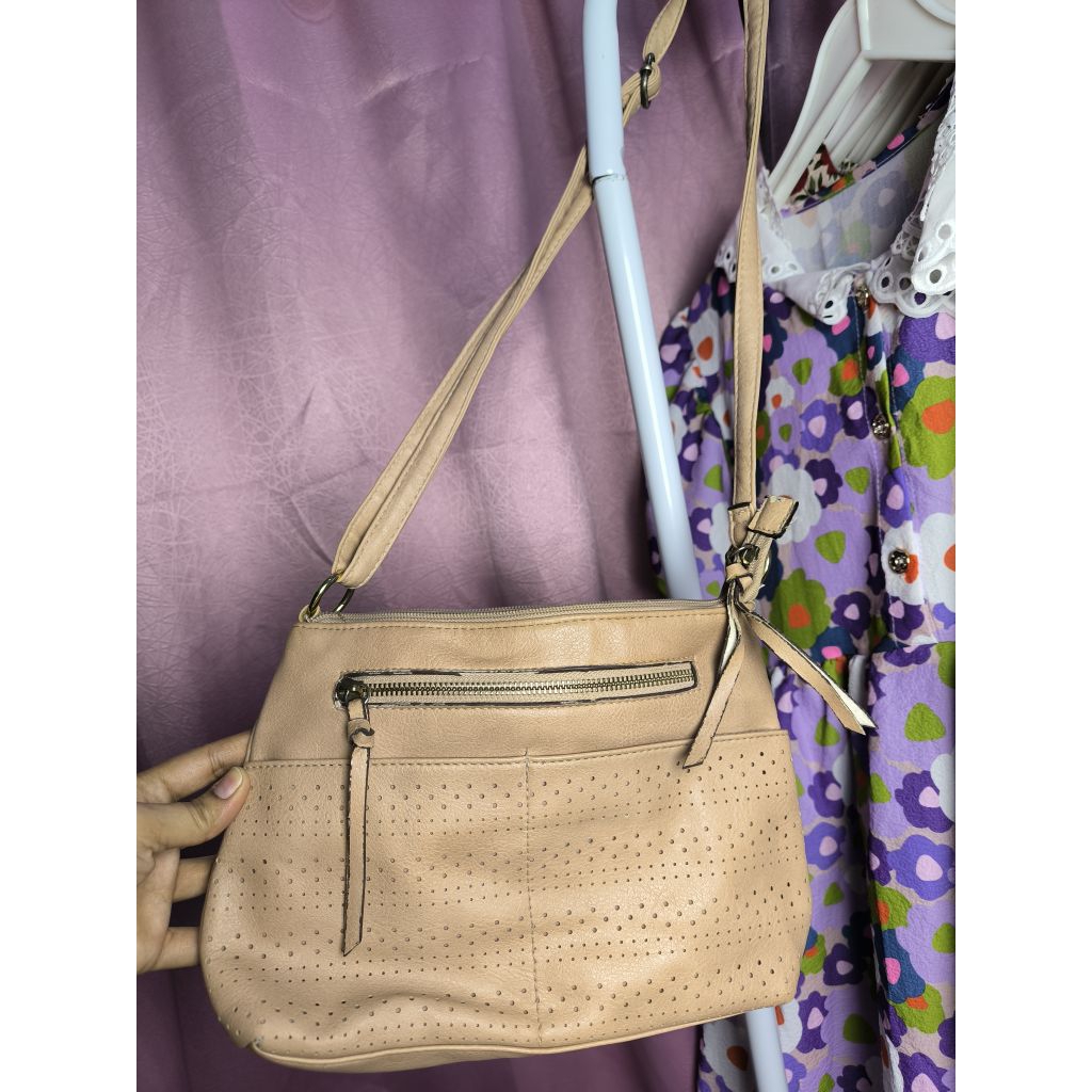 TAS Disney Dumbo/American Eagle