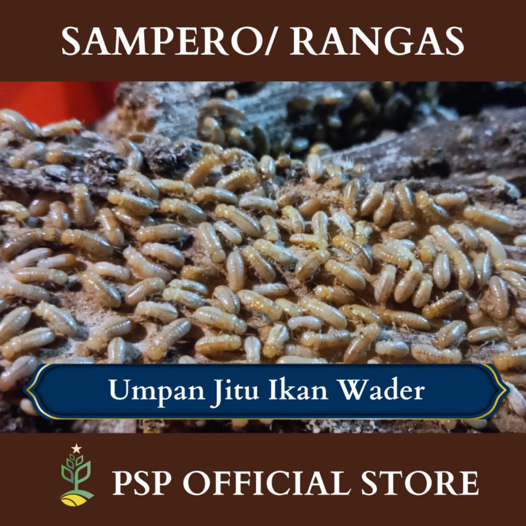 RANGAS/POA/NONOL/SAMPERO UMPAN JITU IKAN WADER, TAWES, NILA, DLL