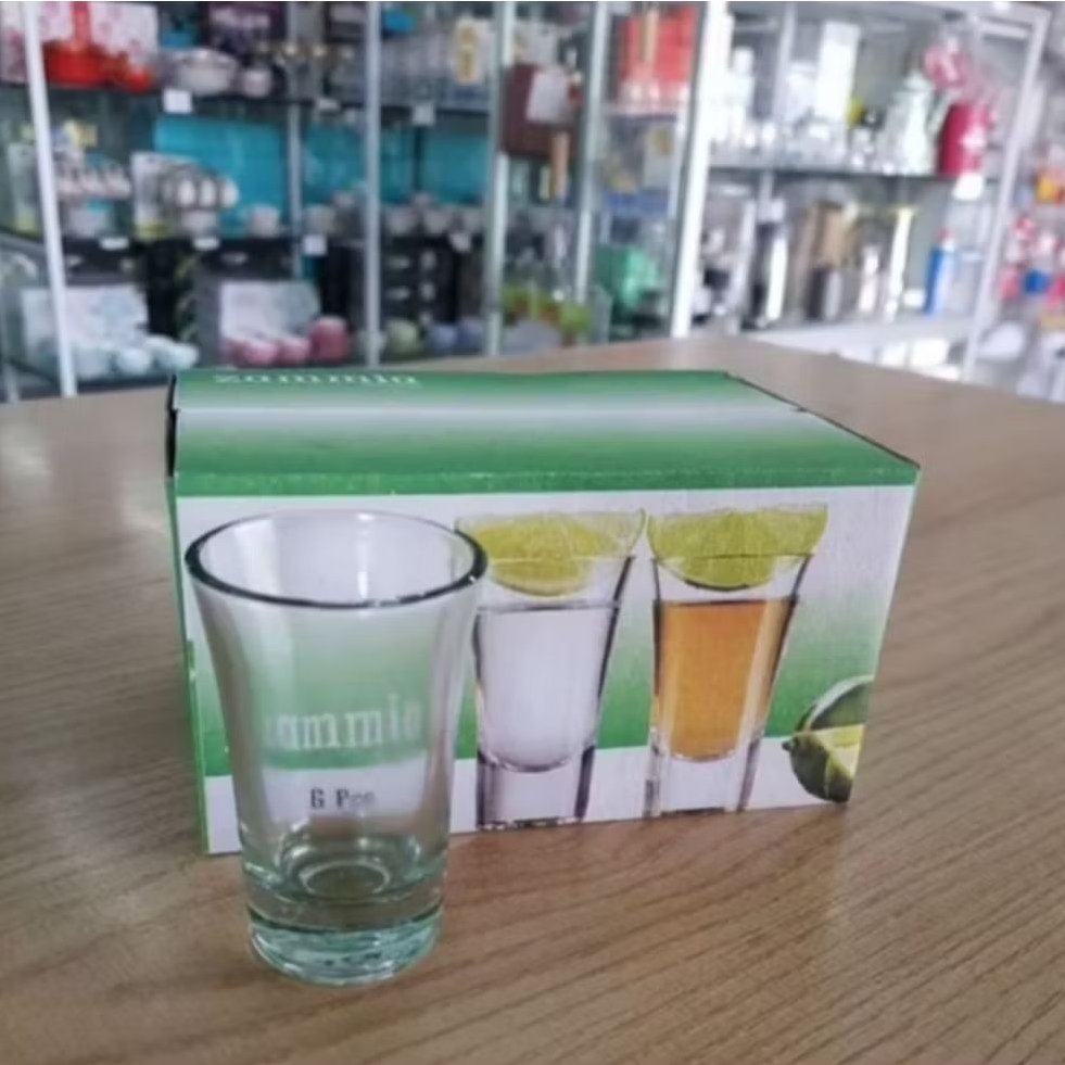Glass sloki Zammia ( 12 Pcs )  / Sloki 40 ml /Sloki Mini