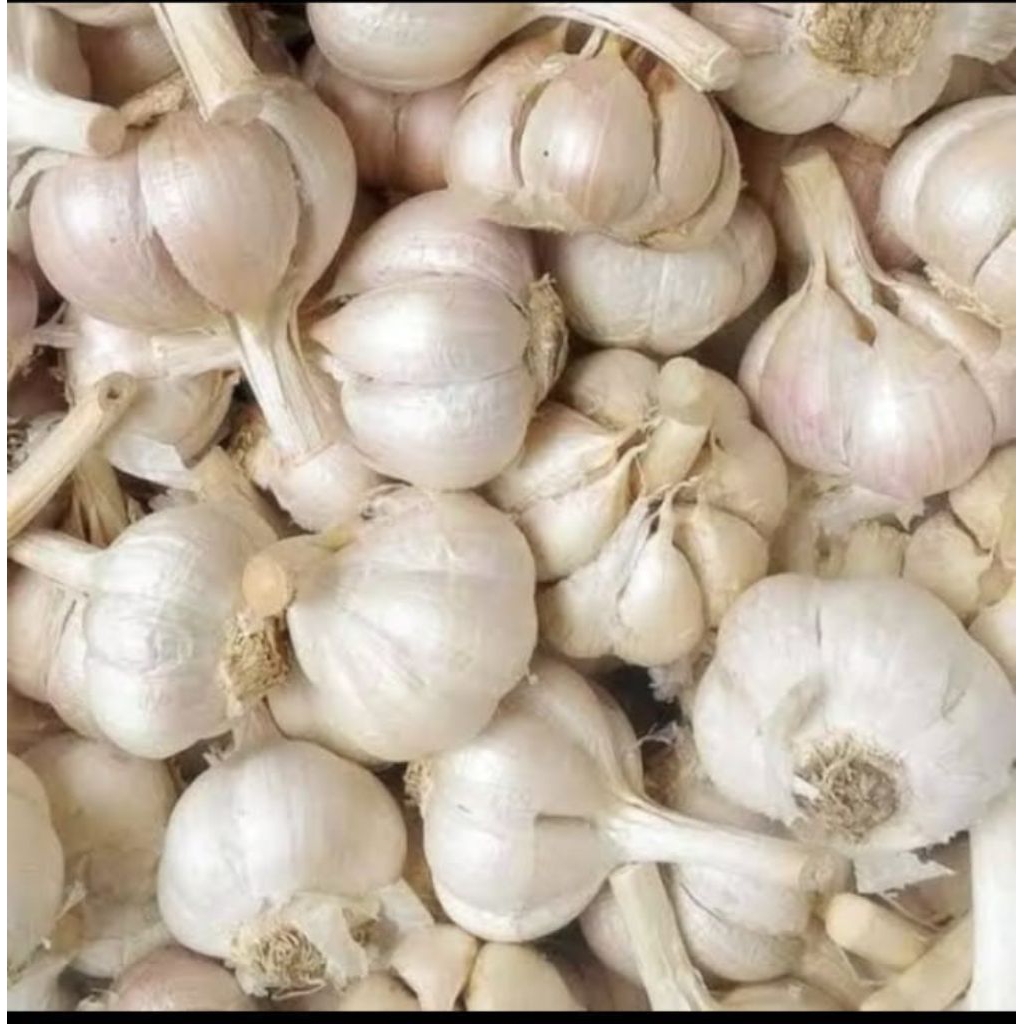 

BAWANG PUTIH KATING BERSIH SEGAR 500g