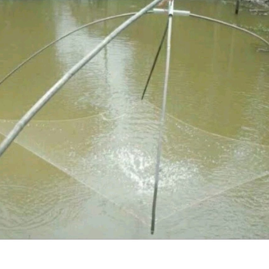 jaring anco 3/8 inchi 2x2 meter, untuk wader, udang dll