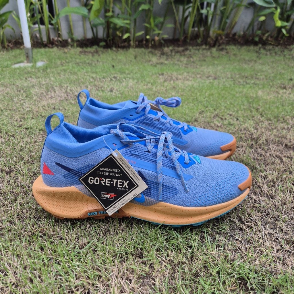 Sepatu Running Nike Pegasus Trail 5 GTX