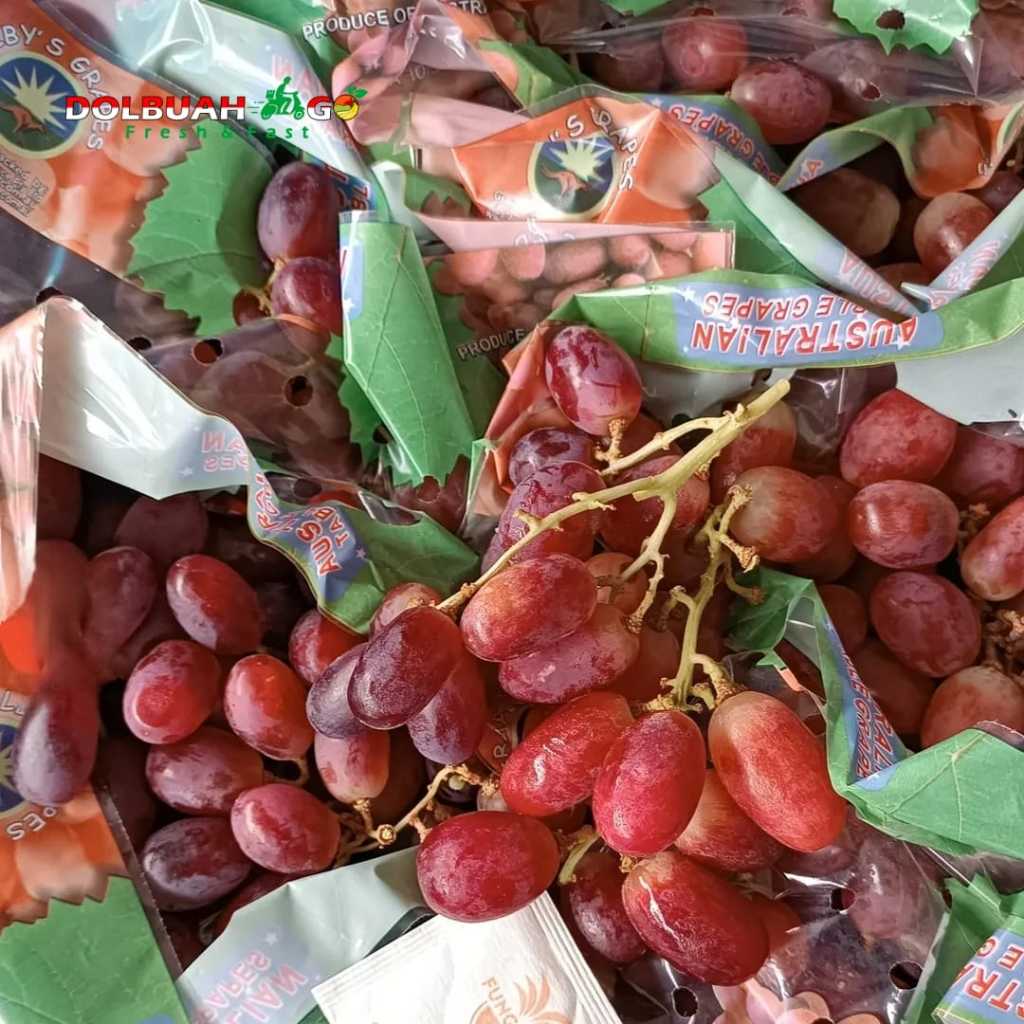 

Anggur Red Allison Merah Manis Kriuk Tanpa Biji Fresh Premium - INSTAN SEMARANG - DolBuah