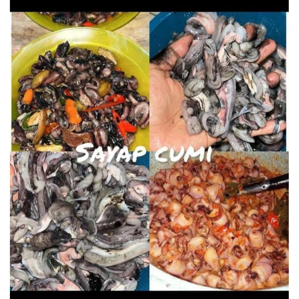 

cumi sayap/sayap cumi 1kg