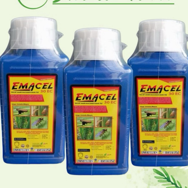 Emacel insektisida ulat pada jagung 100ml
