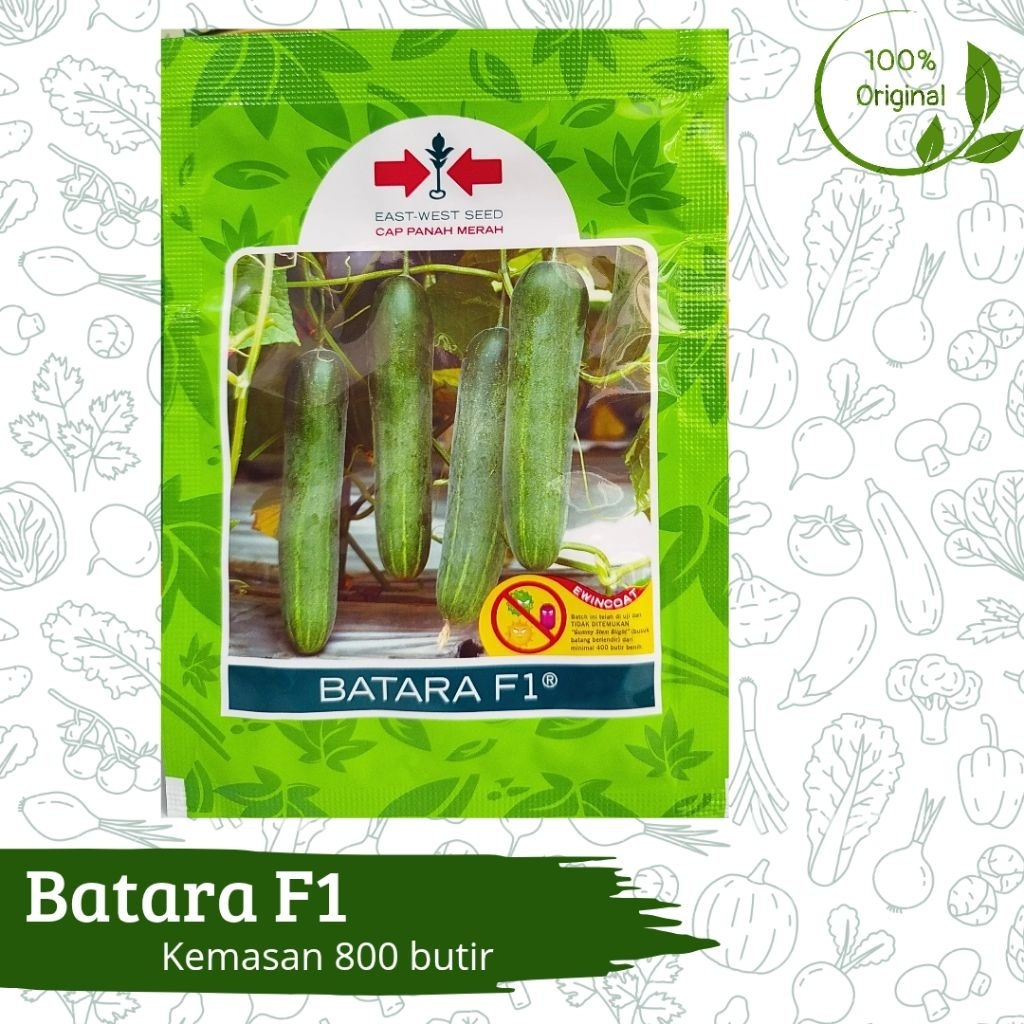 Benih Bibit Timun Ketimun Mentimun Batara 800 butir Cap Panah Merah