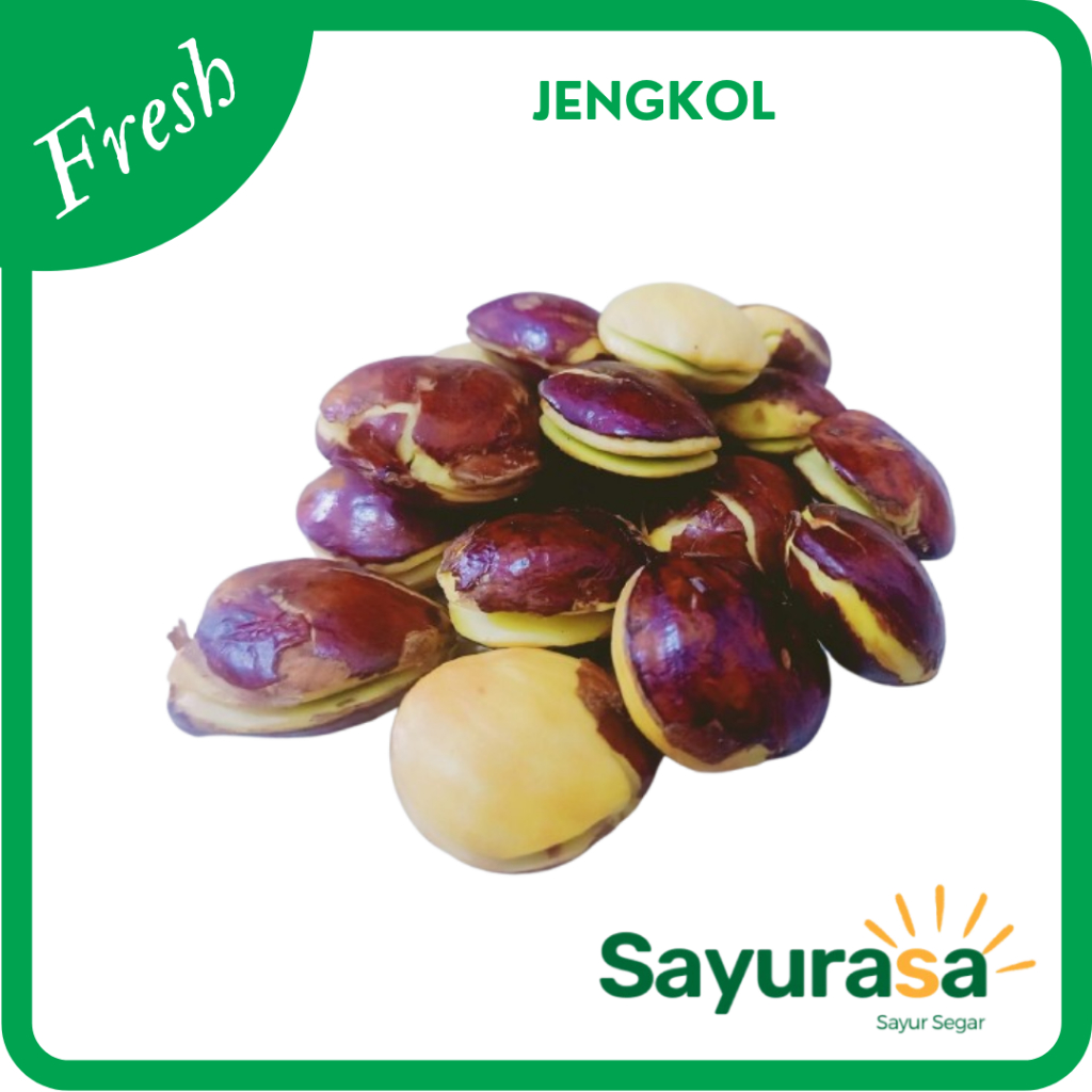 

Jengkol Mentah Segar / Jengkol Mentah Fresh 500 gram