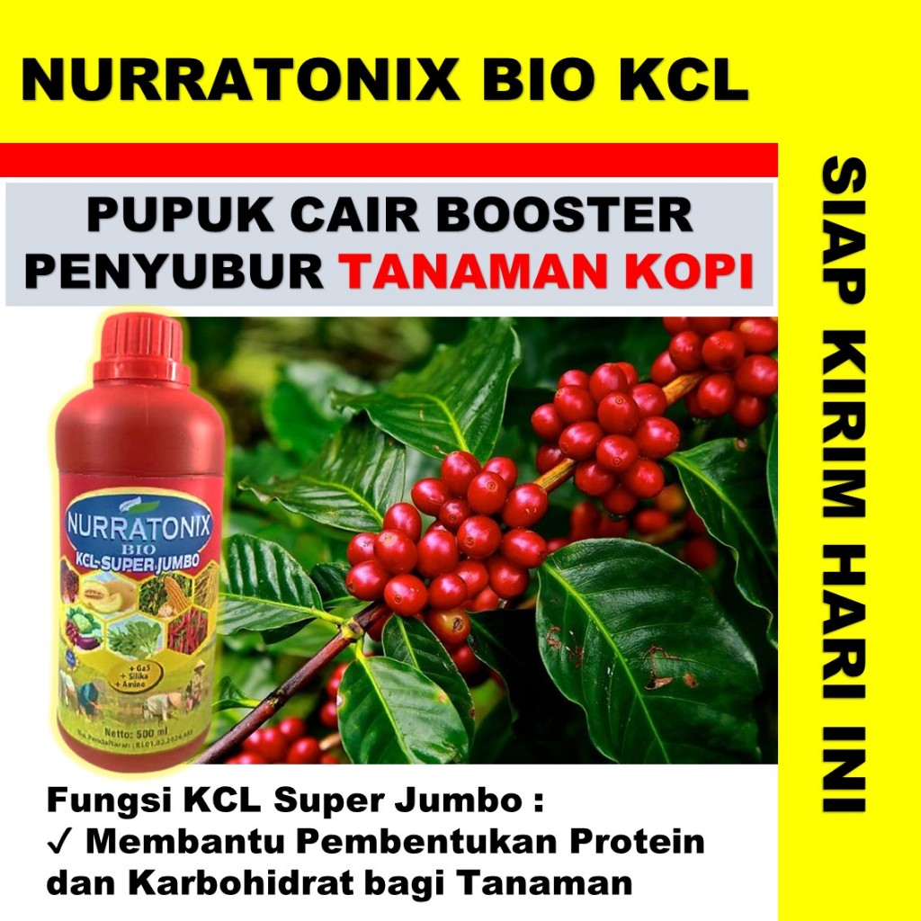 bio kcl super jumbo pupuk cair booster penybur tanaman kopi terbaik - pupuk untuk tanaman kopi ampuh