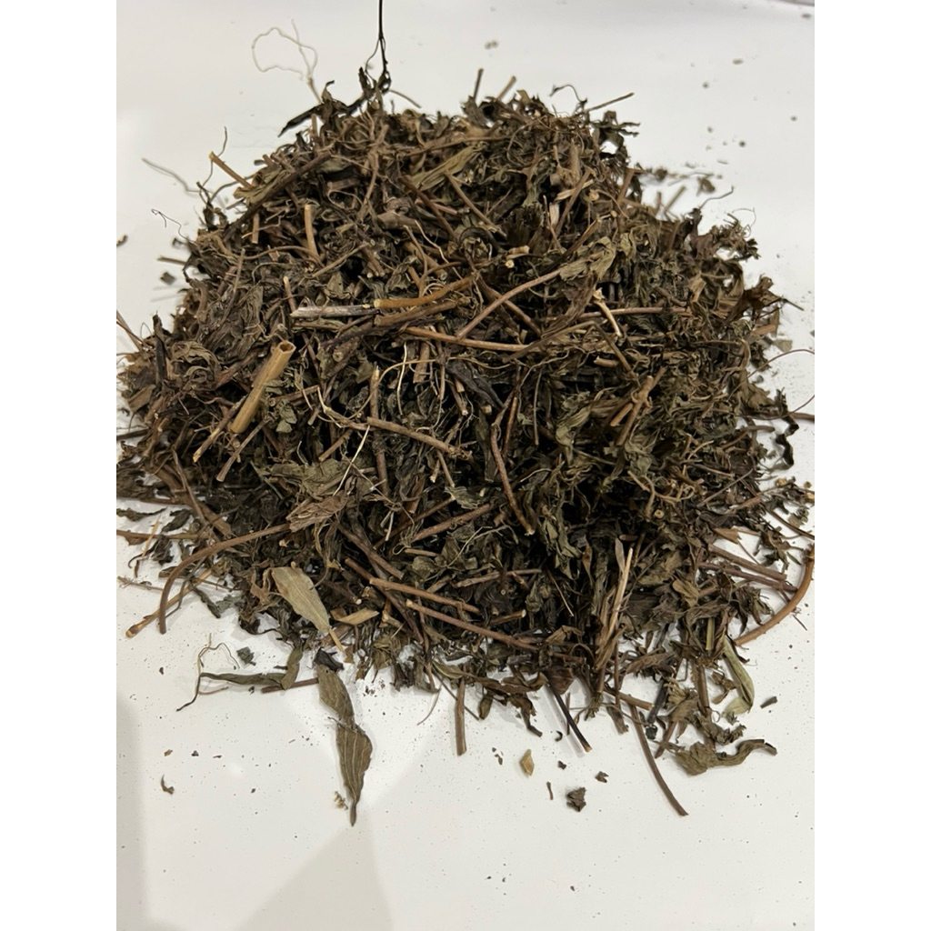 

Daun Kumis Kucing Kering Berat 1kg / Obat Batu Ginjal / Obat Infeksi Saluran Kemih