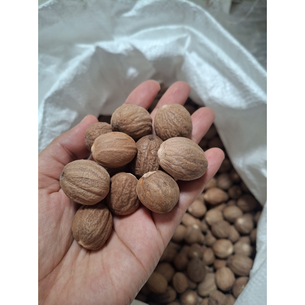 

Marila | Biji Pala Utuh - Nutmeg Asli 1kg
