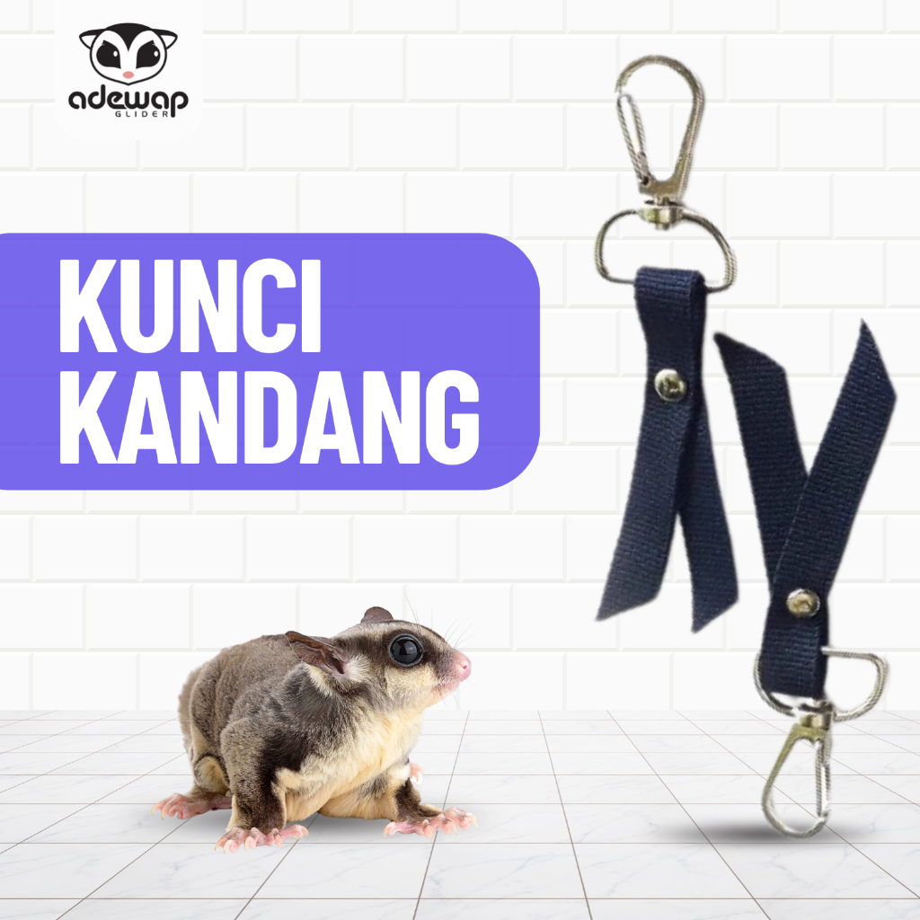 ADEWAP GLIDER Cage Lock Kunci Untuk Kandang Sugar glider