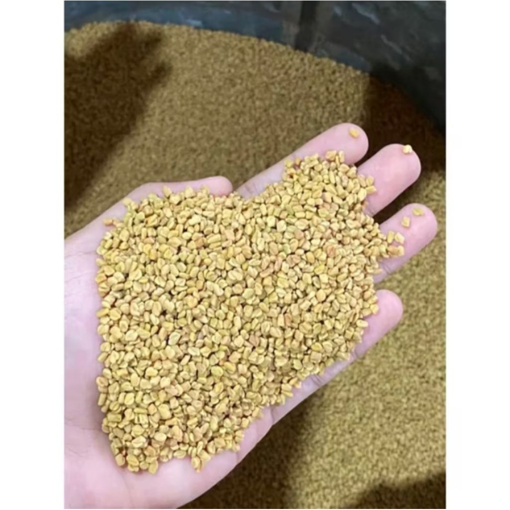 

biji halba / halba fenugreek 250 gram
