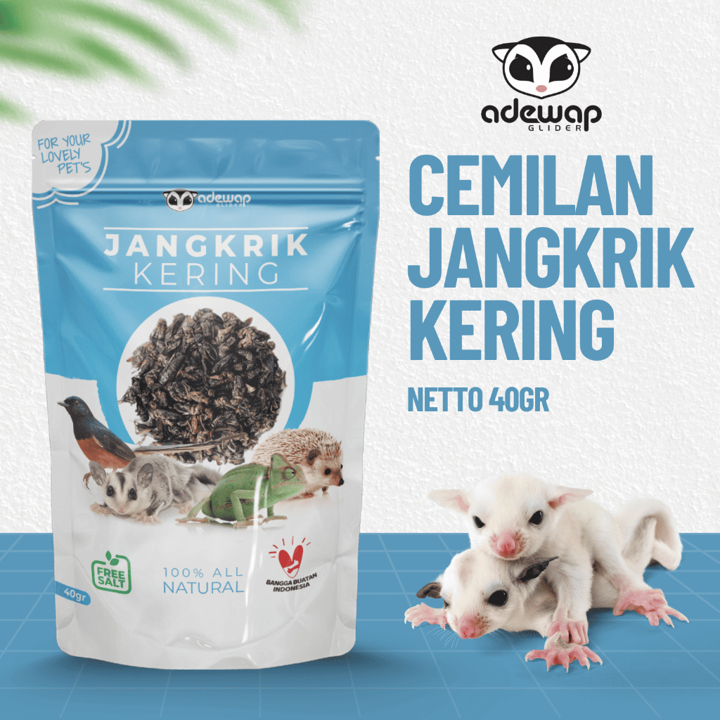 ADEWAP GLIDER Dried Cricket Jangkrik Kering Sugar Glider