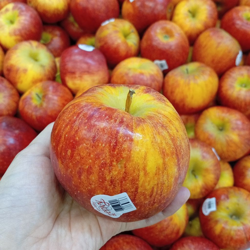 

Apel Envy NV Buah Apel 500gr Buah Apel