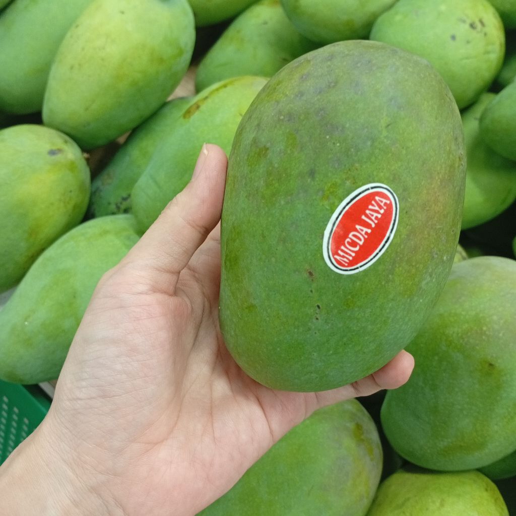 

Mangga Harumanis 1kg Buah Mangga