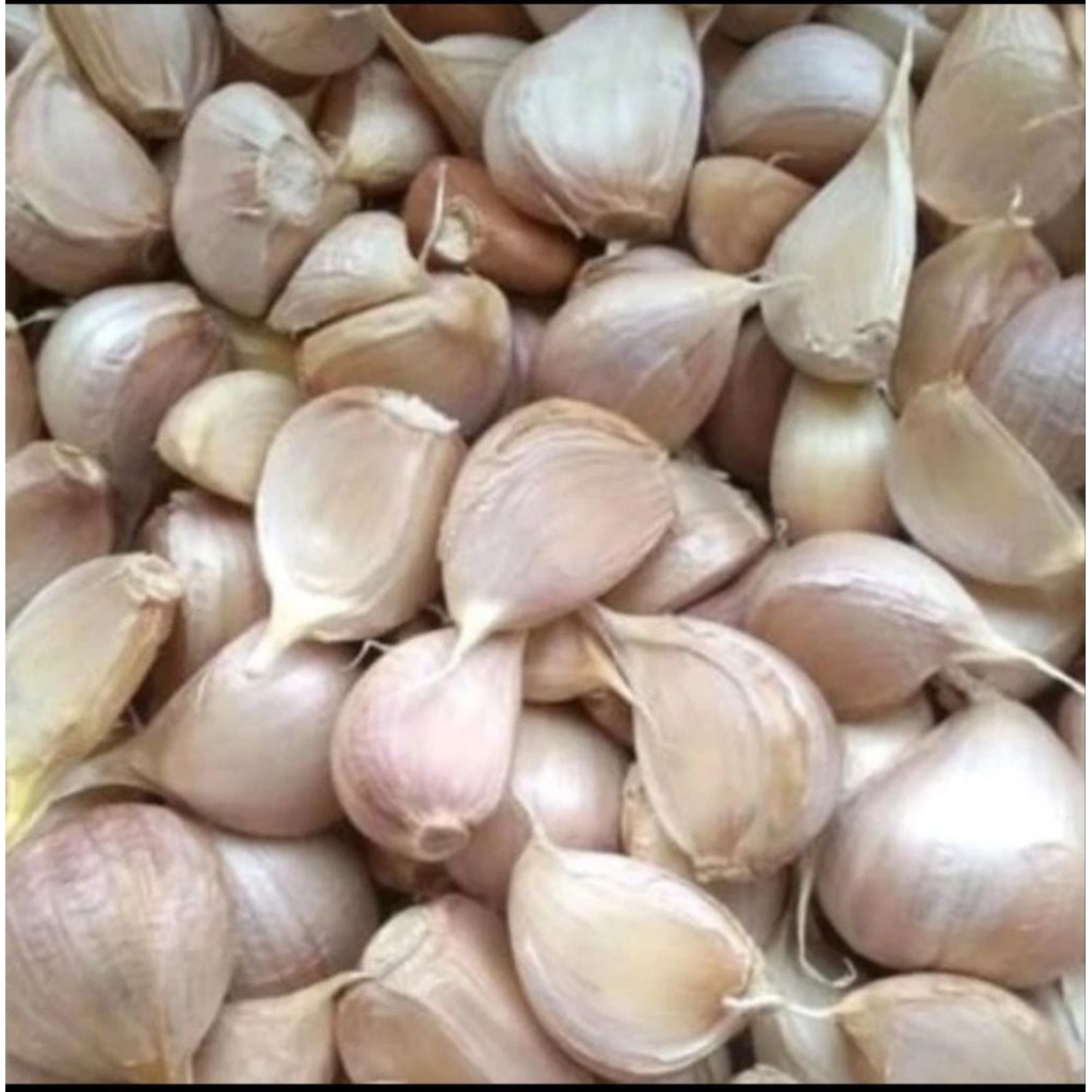 

bawang putih kating 250 gr