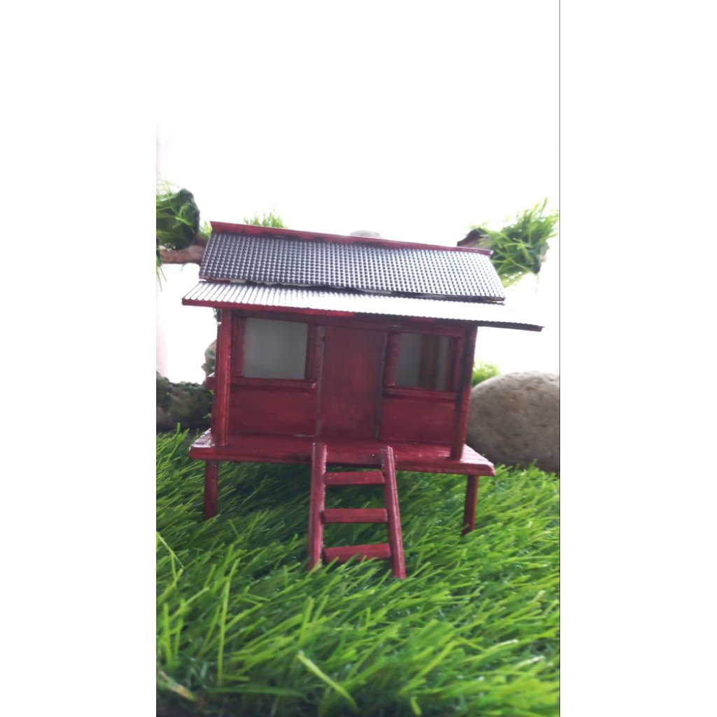 Rumah miniatur paludarium aquascape