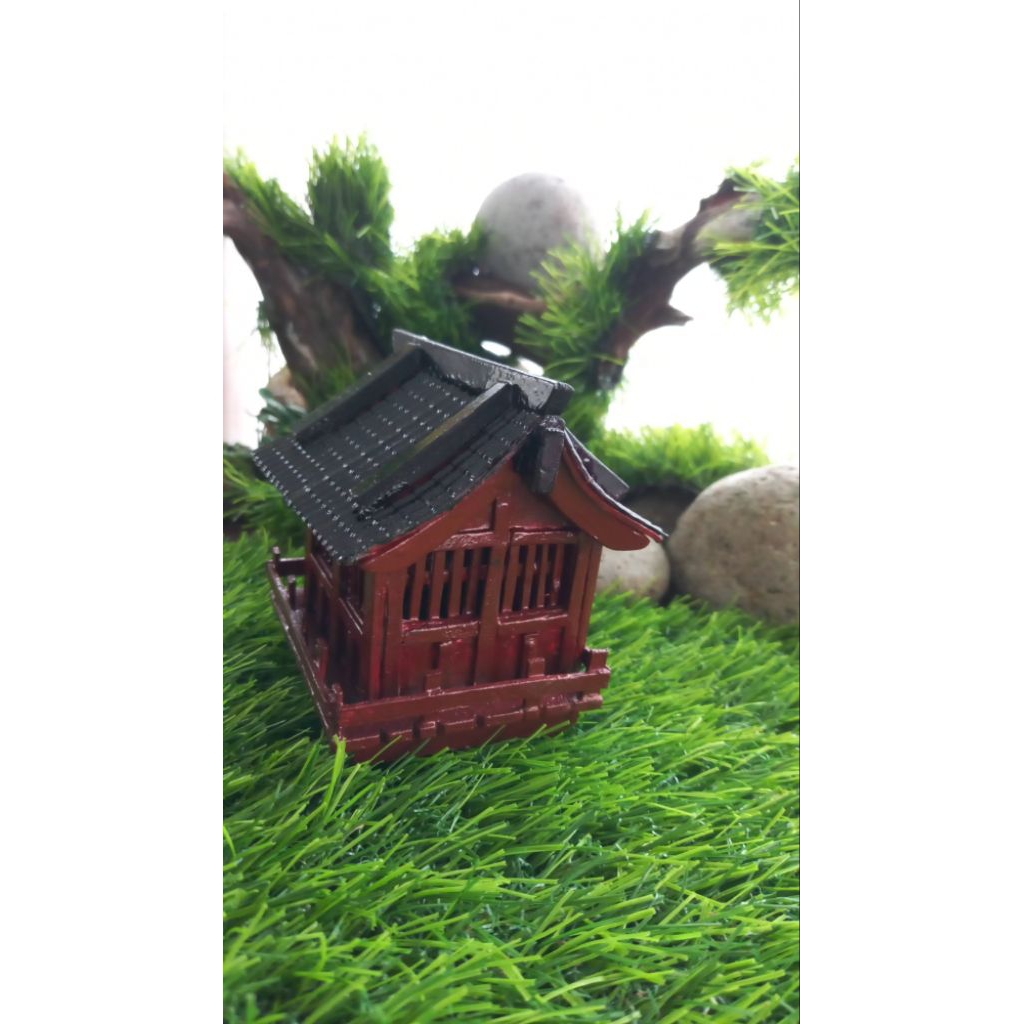 rumah miniatur paludarium aquascape