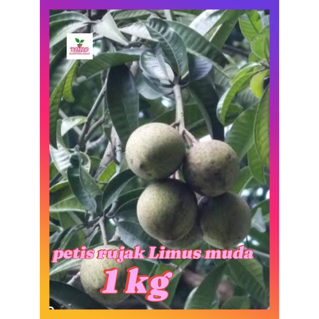 

buah Limus pakel muda 1 kg